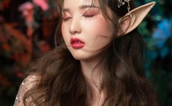 高N车多肉多沉清垣